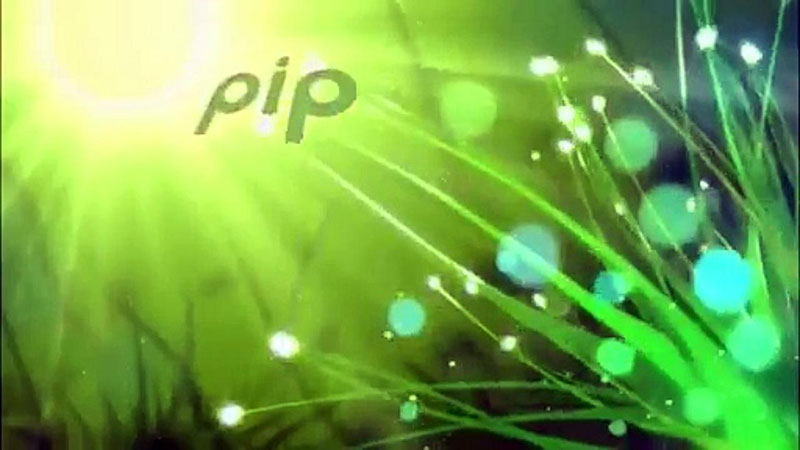 PiP МИР – участник фестиваля Wanexpo