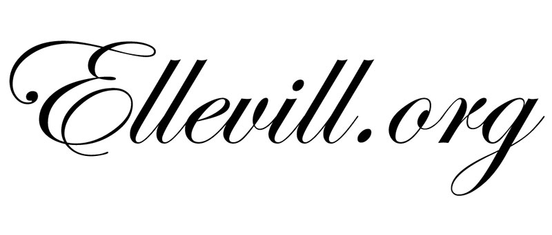 Ellevill.org — участник XIII Фестиваля беременных и младенцев